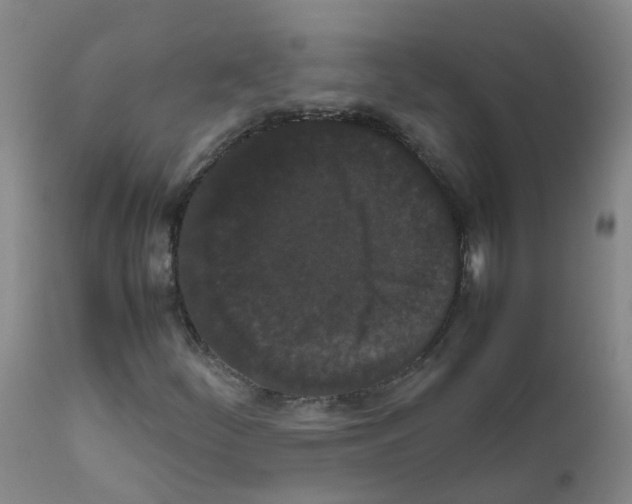X0000111861252200909031743