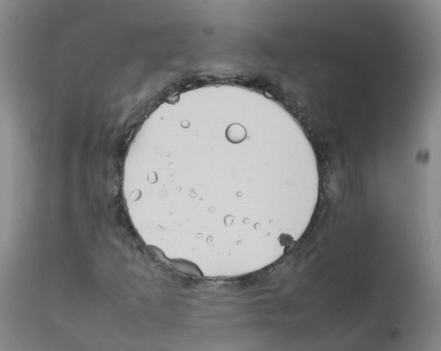 X0000111861253200909031743