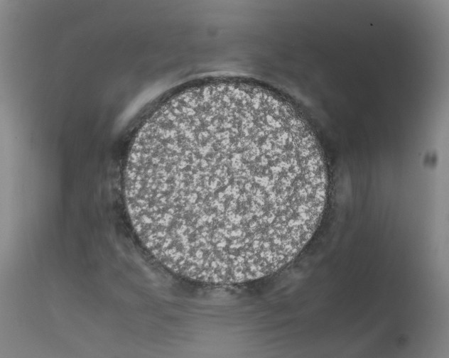 X0000111861255200909031743