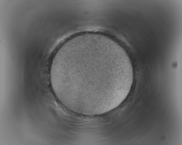 X0000111861256200909031743