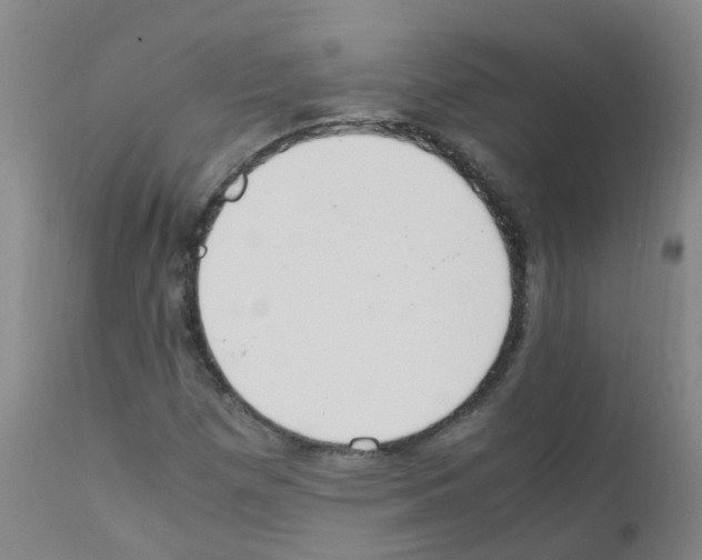 X0000111861257200909031743