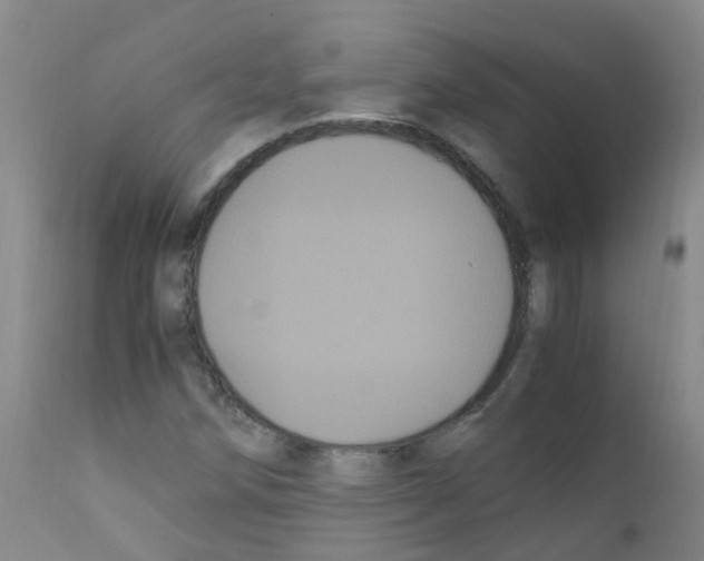 X0000111861258200909031743