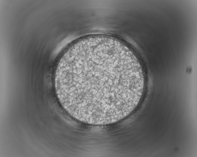 X0000111861259200909031743