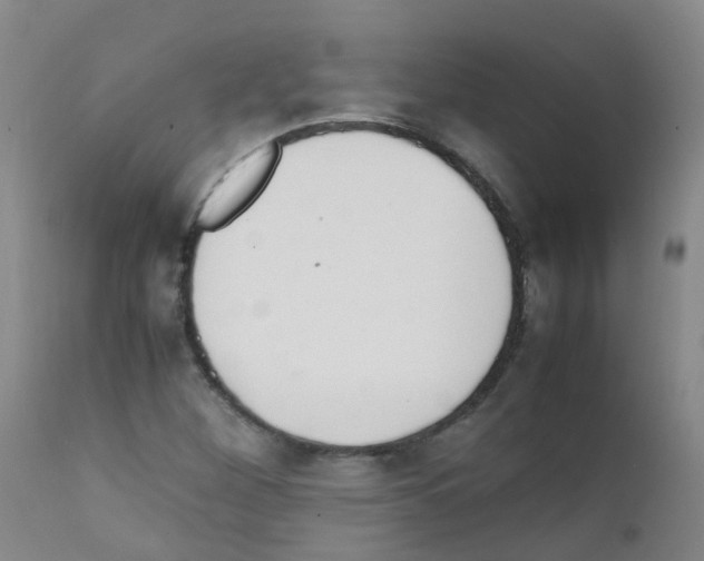 X0000111861260200909031743