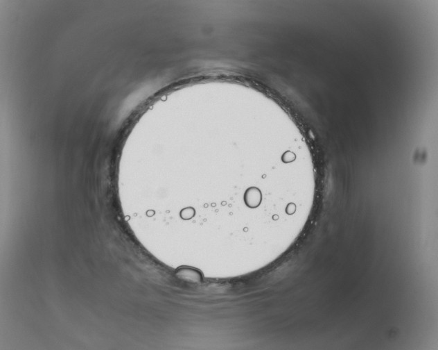 X0000111861261200909031743
