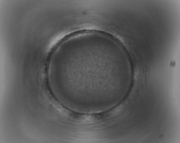 X0000111861263200909031743