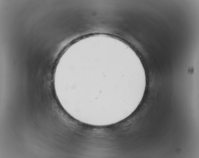 X0000111861264200909031743
