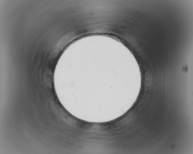 X0000111861265200909031743