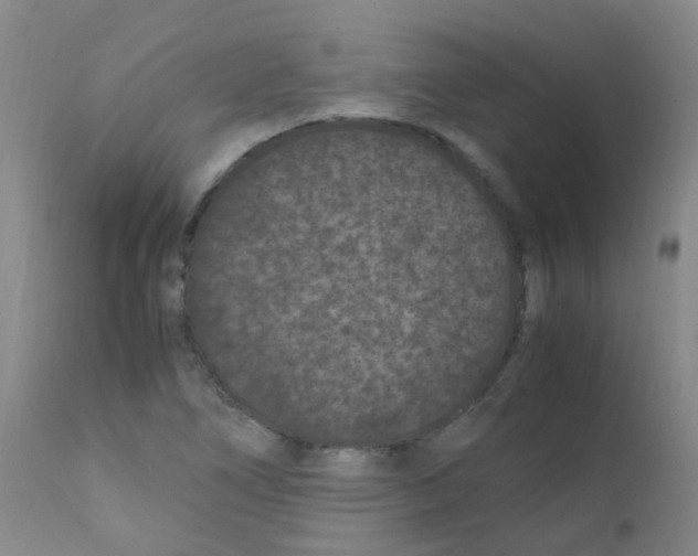 X0000111861266200909031743