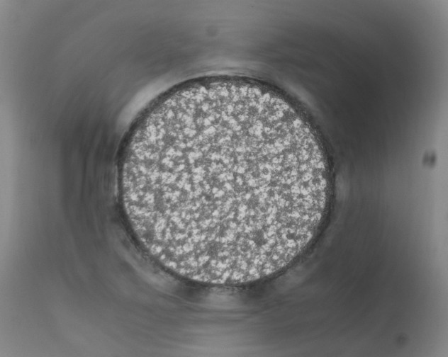 X0000111861267200909031743
