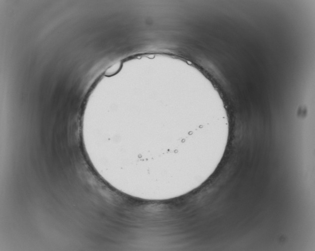 X0000111861268200909031743