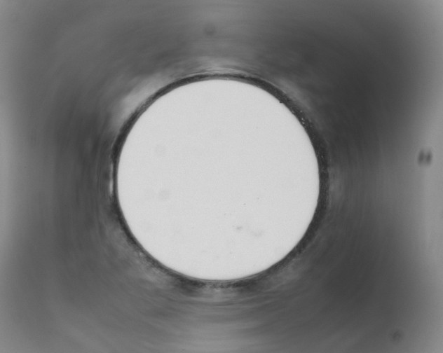 X0000111861269200909031743