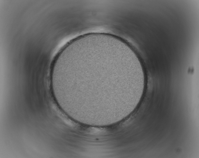X0000111861270200909031743