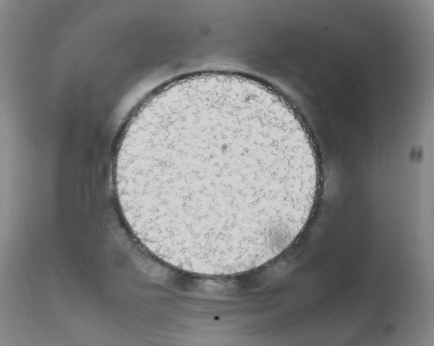 X0000111861271200909031743