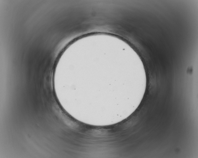 X0000111861272200909031743