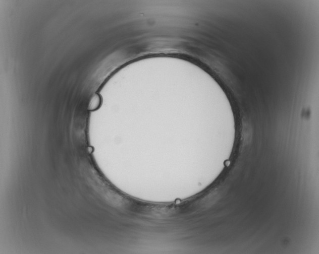 X0000111861273200909031742