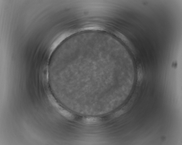 X0000111861274200909031742