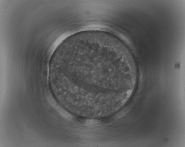 X0000111861275200909031742