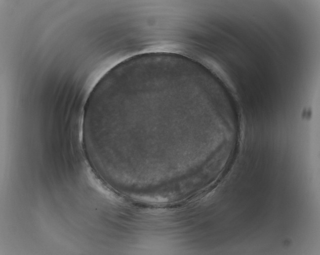X0000111861276200909031742
