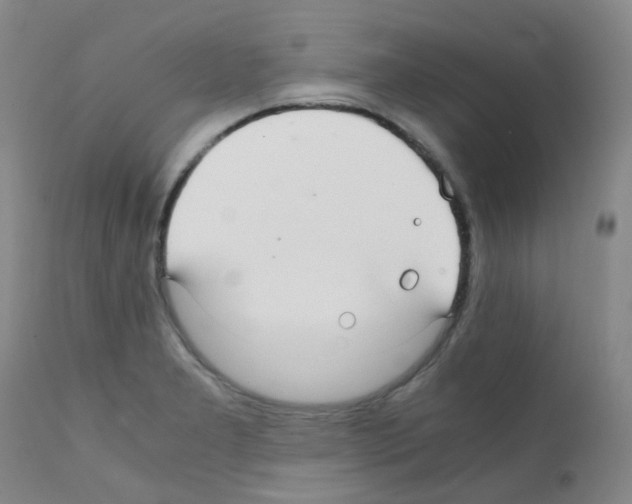 X0000111861277200909031742