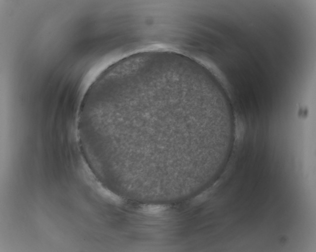 X0000111861278200909031742