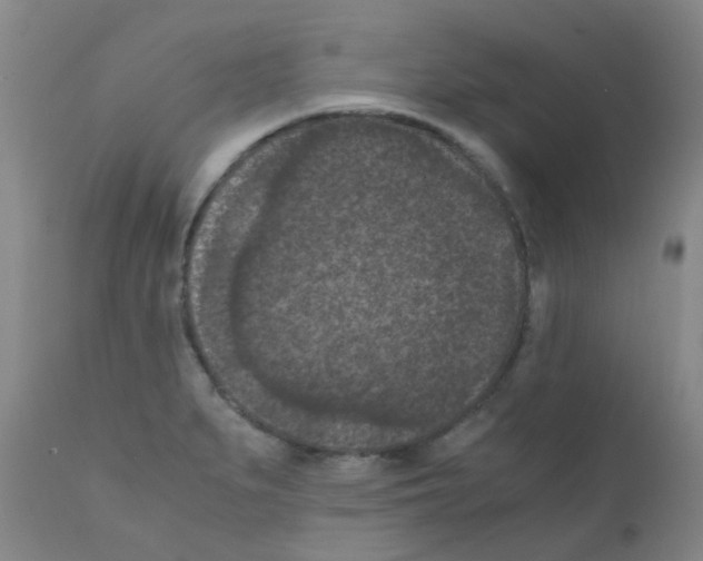 X0000111861279200909031742