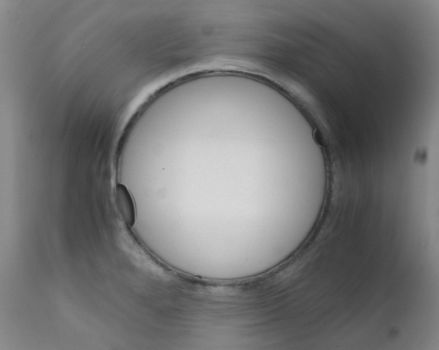 X0000111861280200909031742