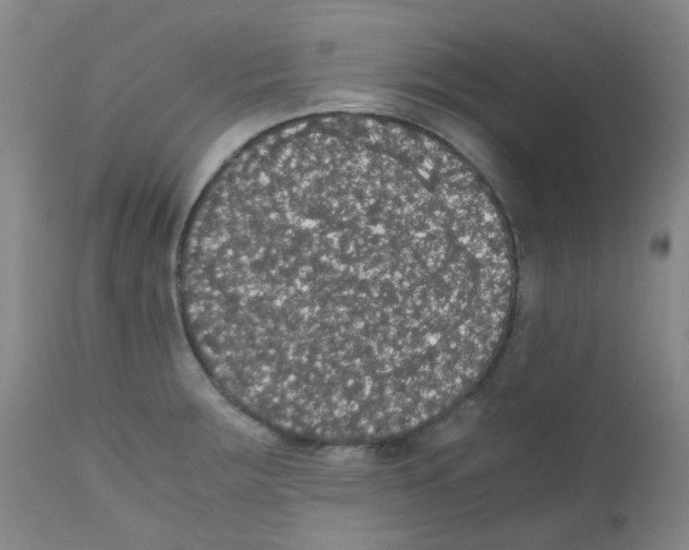 X0000111861283200909031742