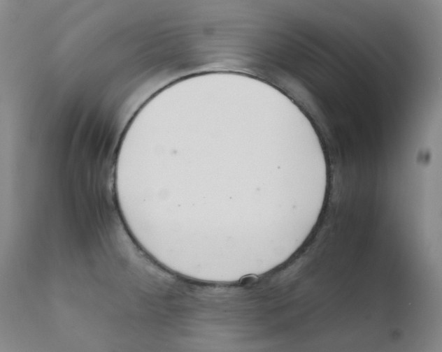 X0000111861284200909031742