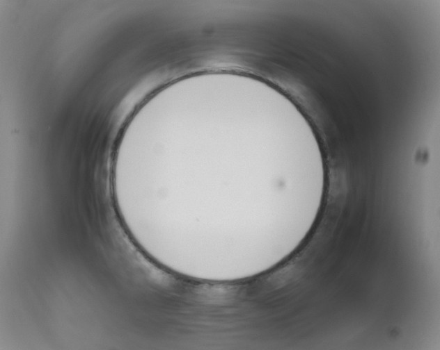 X0000111861286200909031742