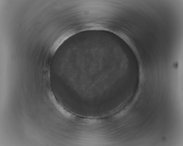 X0000111861289200909031742