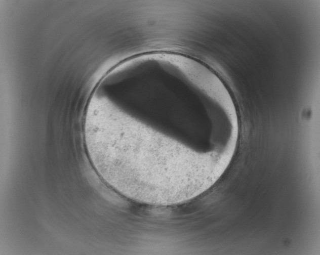 X0000111861291200909031742