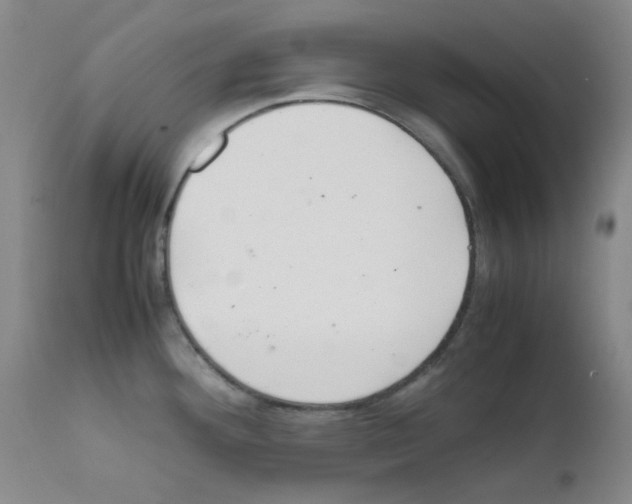 X0000111861292200909031742