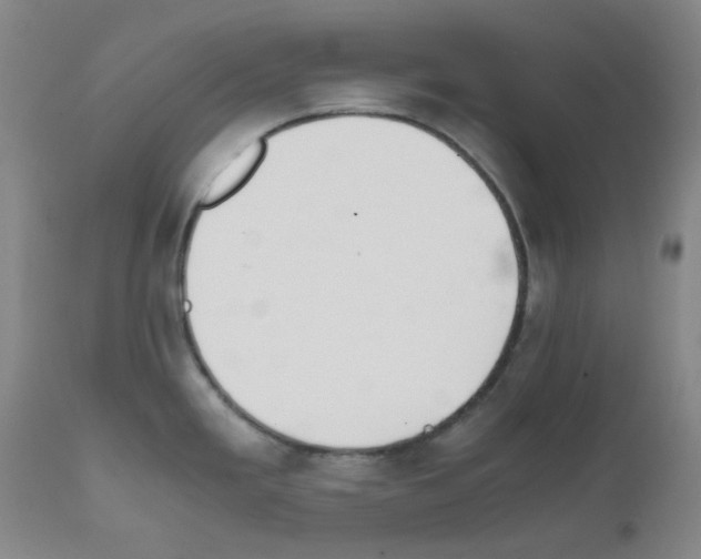 X0000111861293200909031742