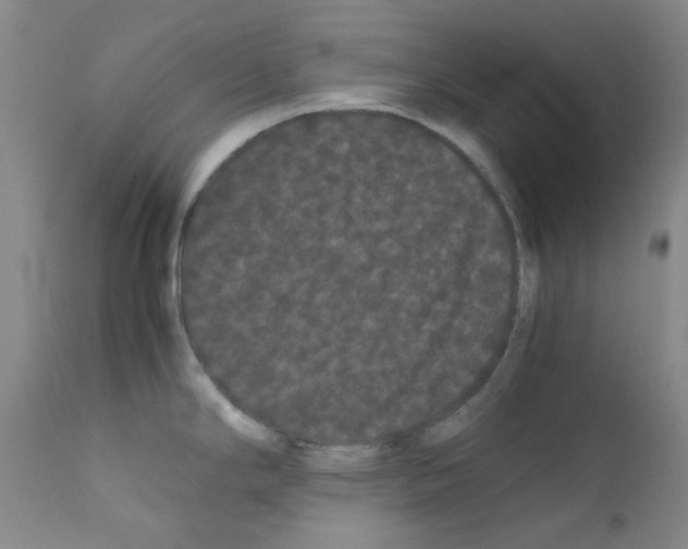 X0000111861294200909031742