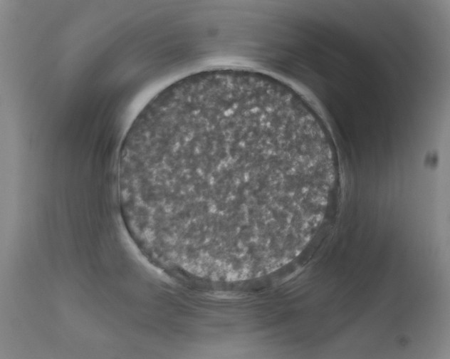 X0000111861295200909031742