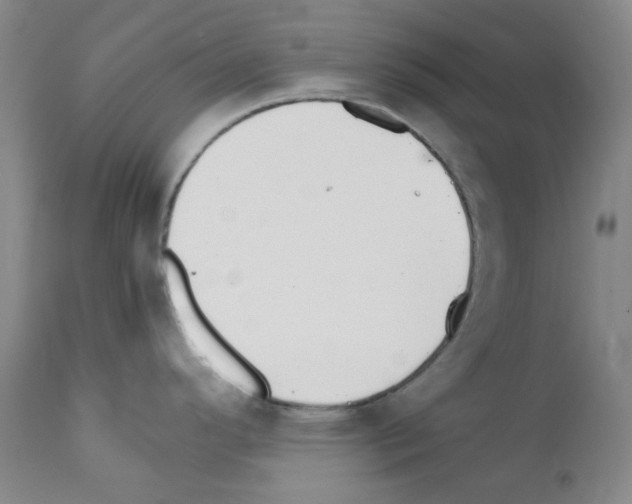X0000111861296200909031742