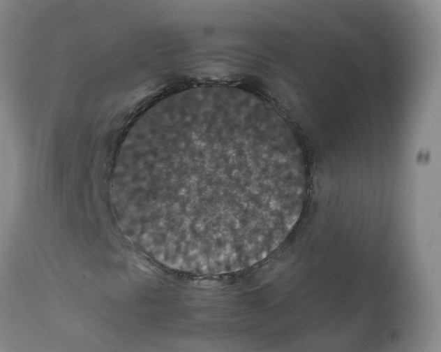 X0000111861297200909031741