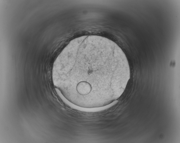 X0000111861298200909031741