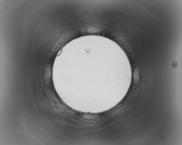 X0000111861299200909031741