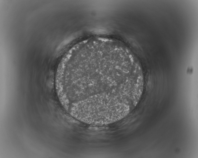 X0000111861301200909031741