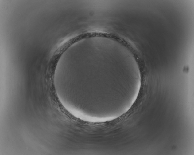 X0000111861303200909031741