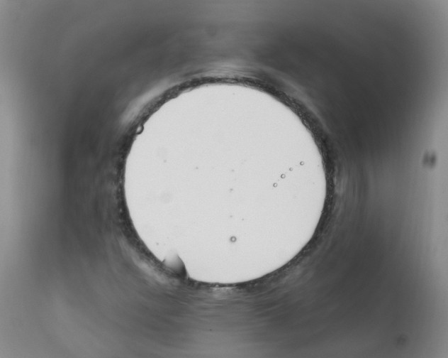 X0000111861304200909031741