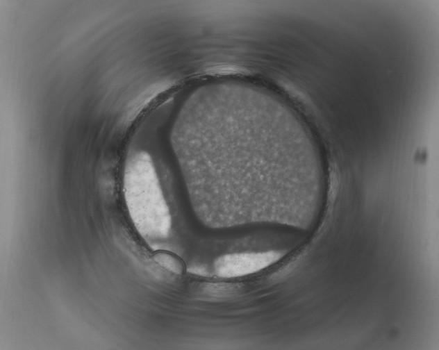 X0000111861305200909031741