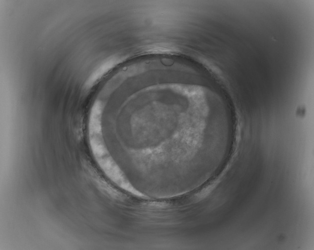 X0000111861306200909031741