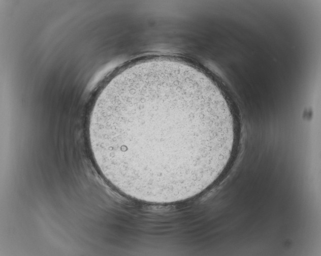 X0000111861307200909031741