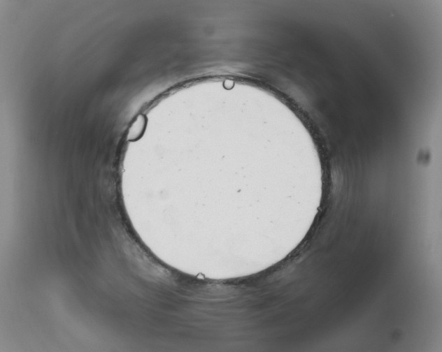 X0000111861308200909031741