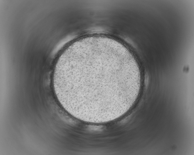 X0000111861309200909031742