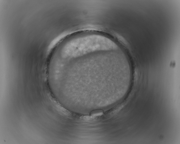 X0000111861310200909031742