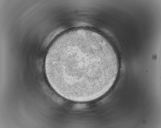 X0000111861313200909031742
